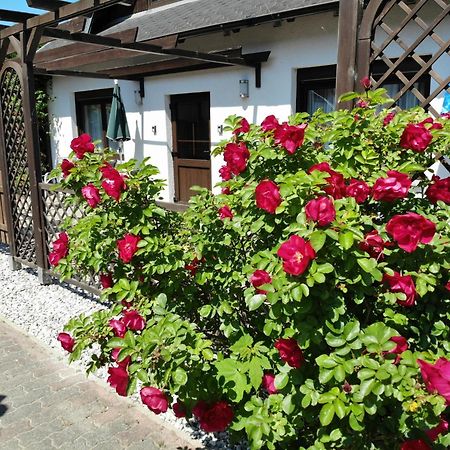 Ferienhaus Kress Links Sellin  Luaran gambar