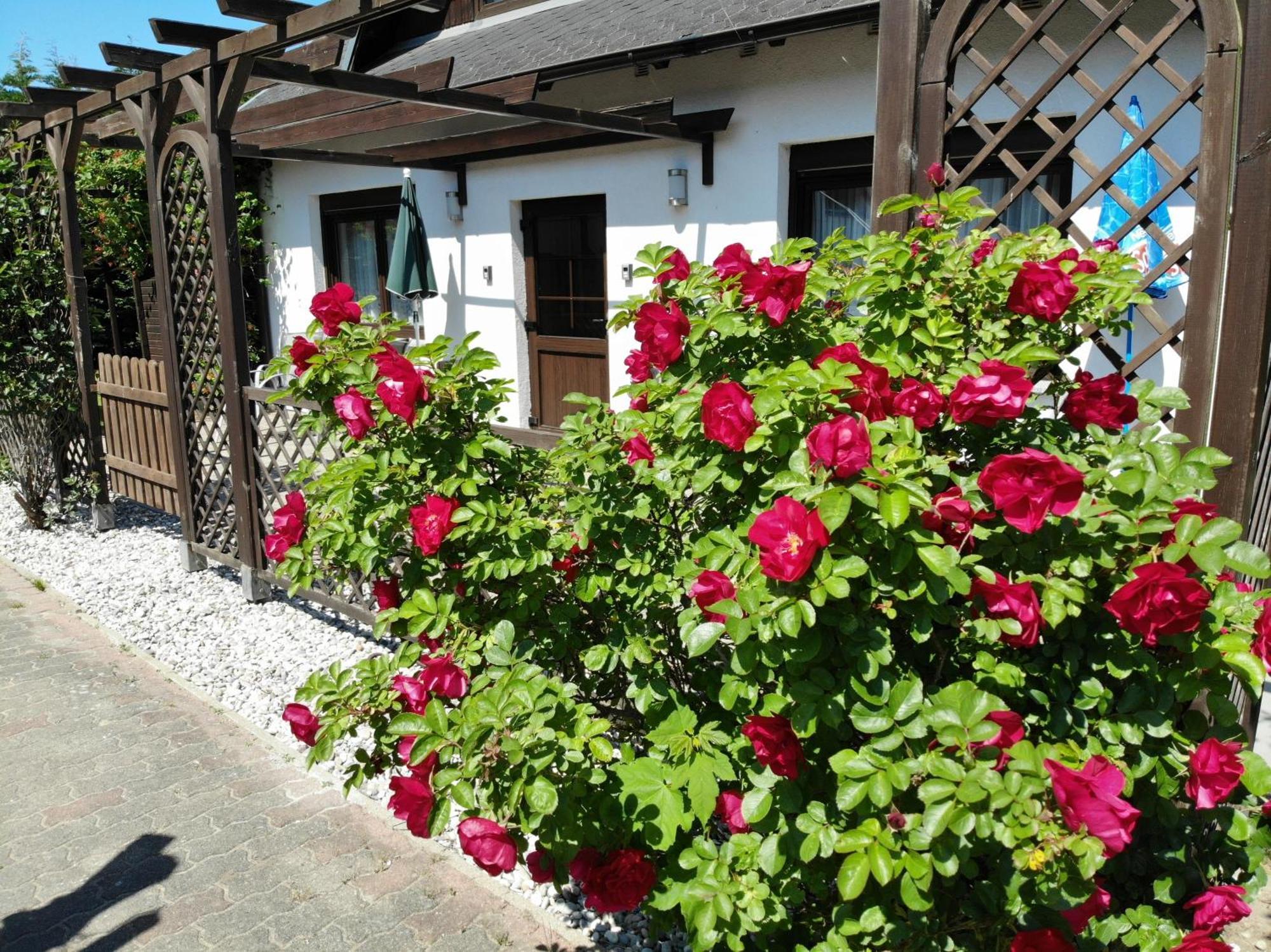 Ferienhaus Kress Links Sellin  Luaran gambar